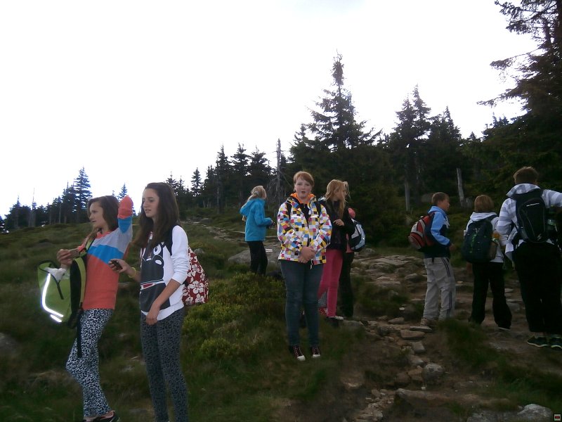 img00004.jpg