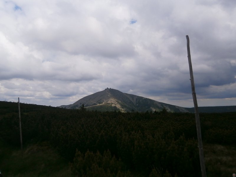 img00033.jpg