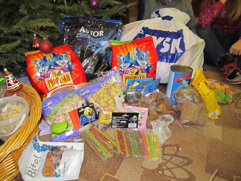 img00006.jpg
