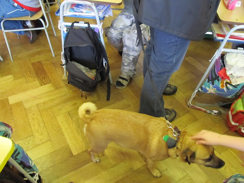 img00009.jpg