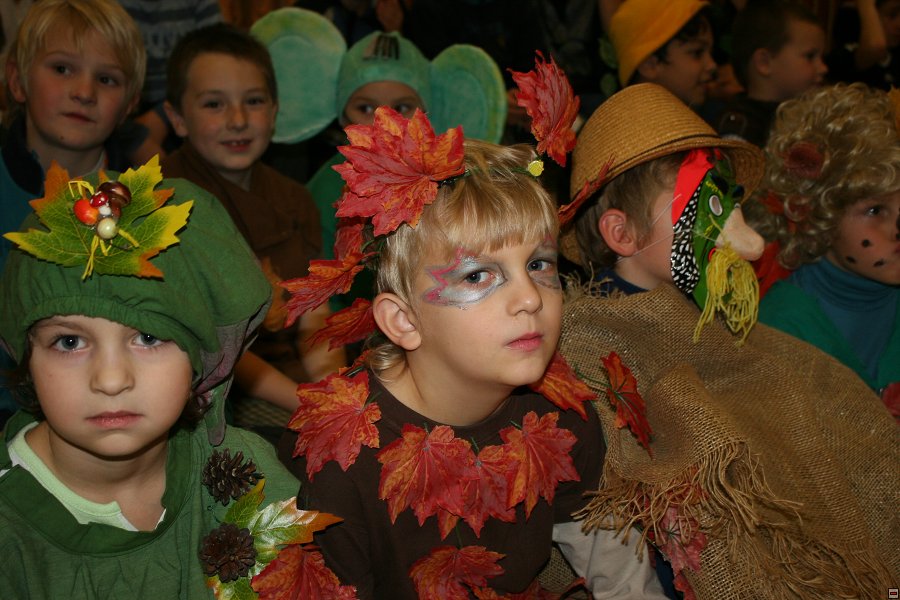 img00018.jpg