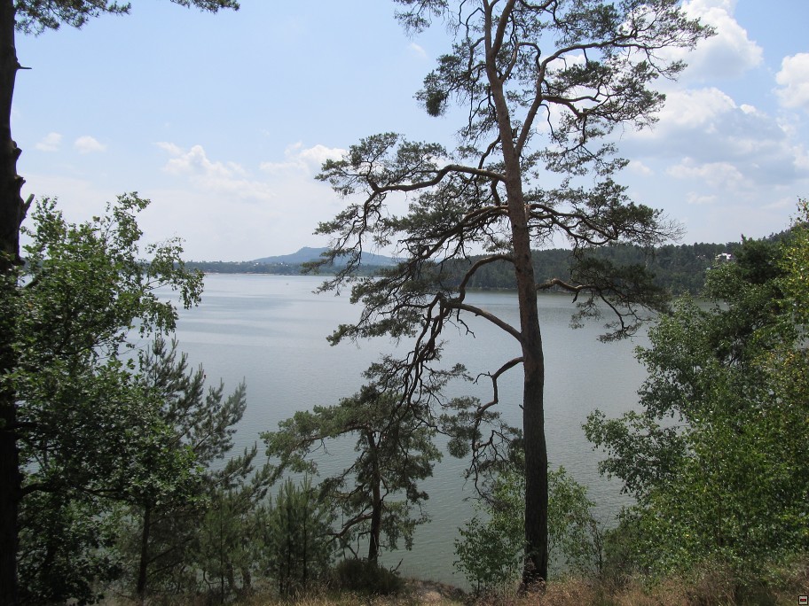 img00009.jpg