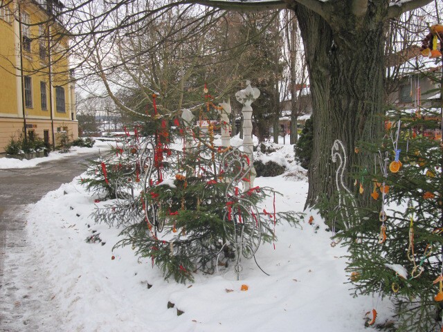 img00002.jpg