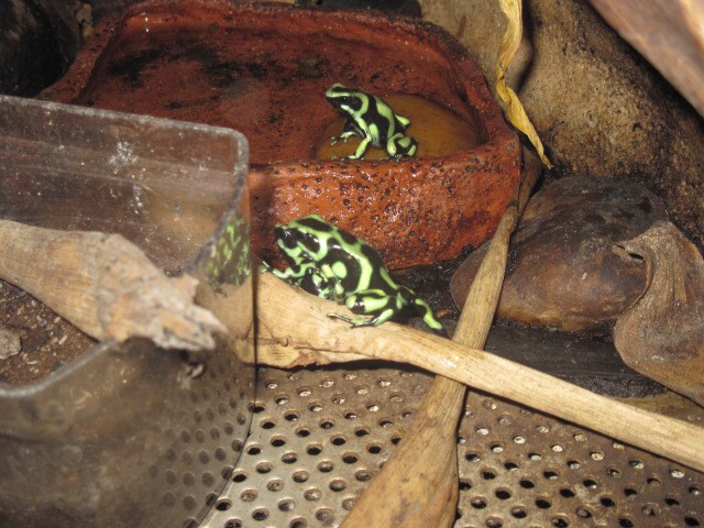 img00006.jpg