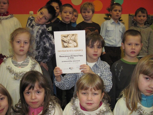 img00015.jpg