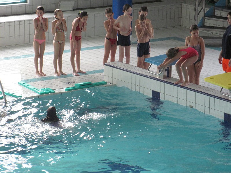 img00045.jpg
