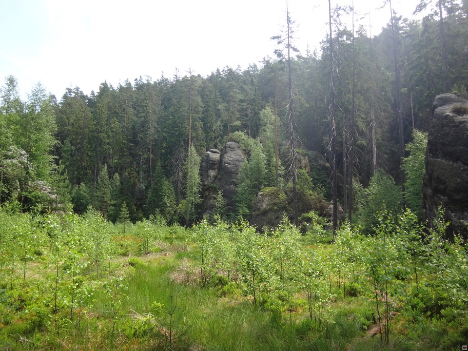 img00050.jpg