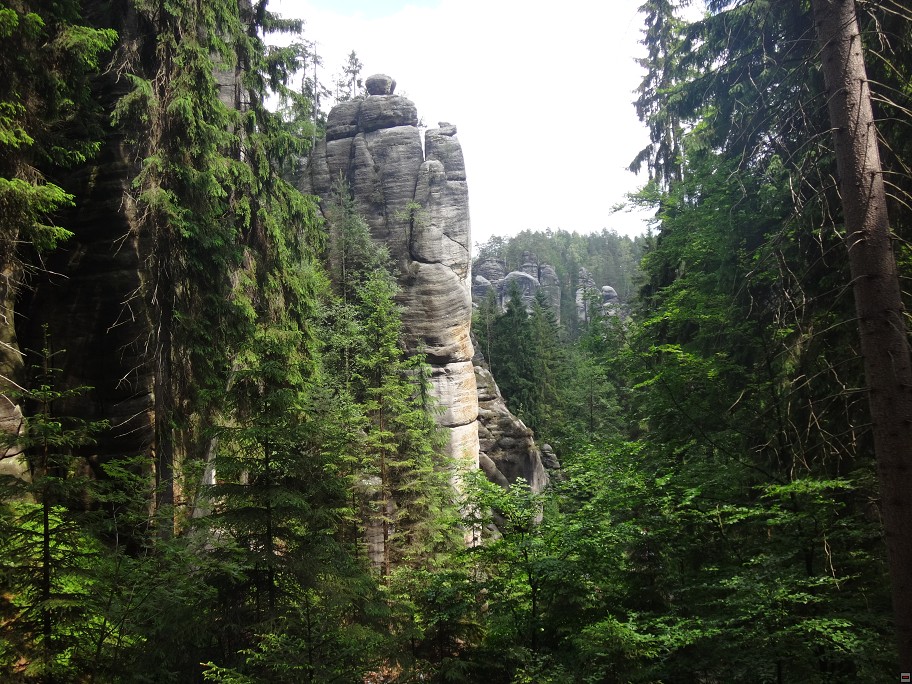 img00055.jpg