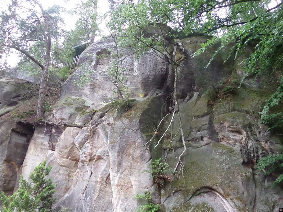 img00010.jpg
