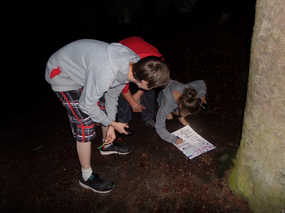 img00066.jpg
