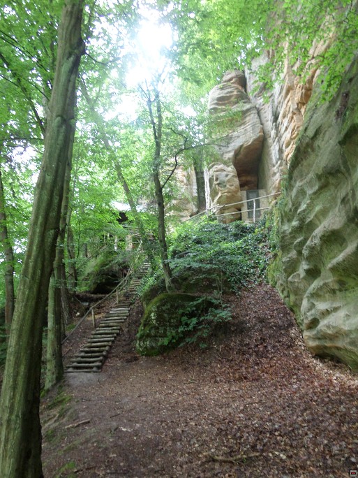 img00083.jpg