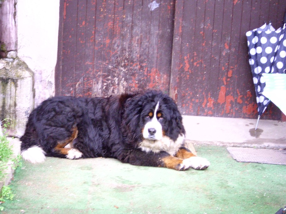 img00012.jpg