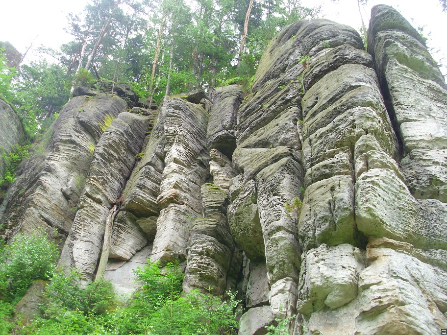 img00066.jpg