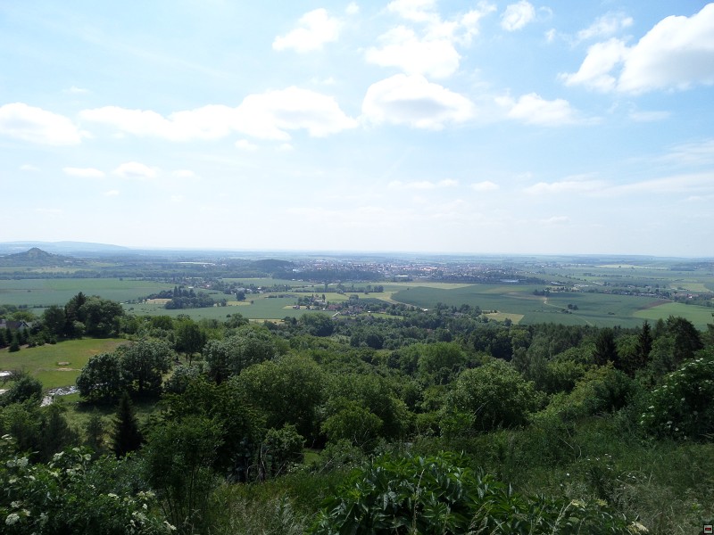 img00015.jpg