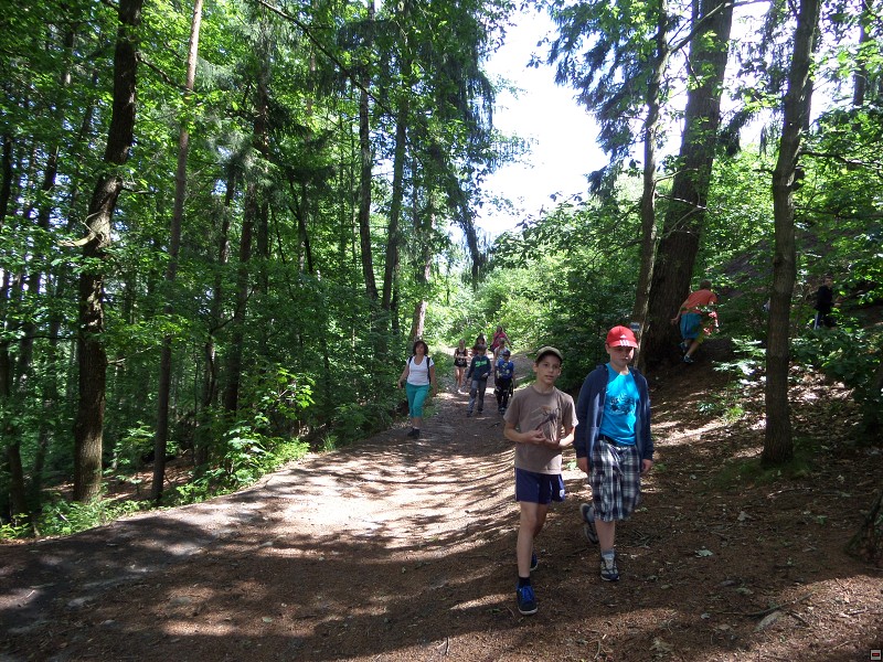 img00020.jpg