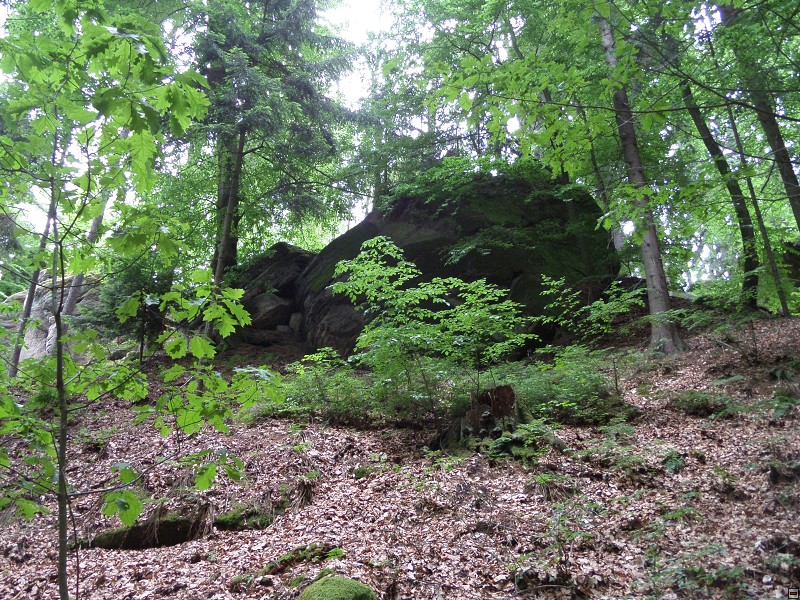 img00031.jpg