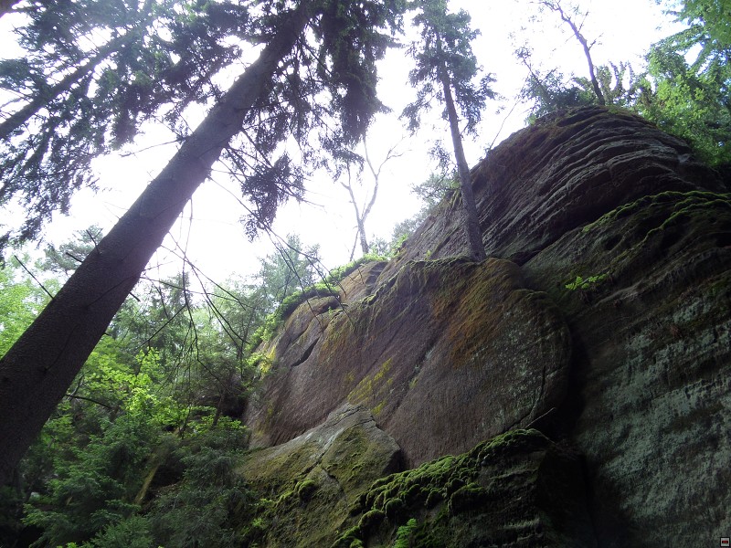 img00035.jpg