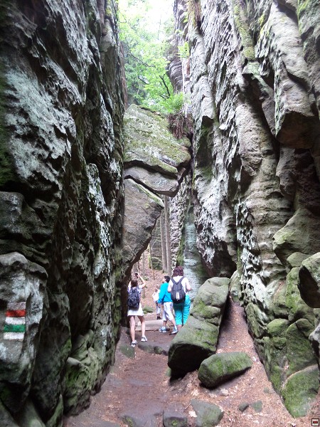 img00036.jpg