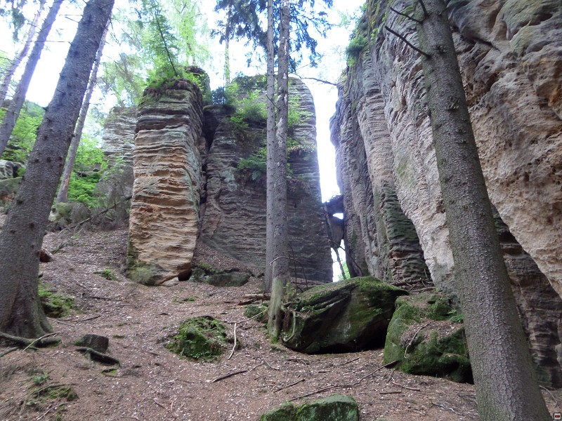 img00046.jpg