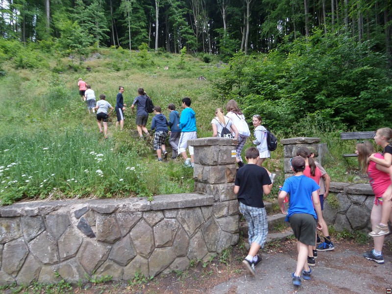 img00052.jpg