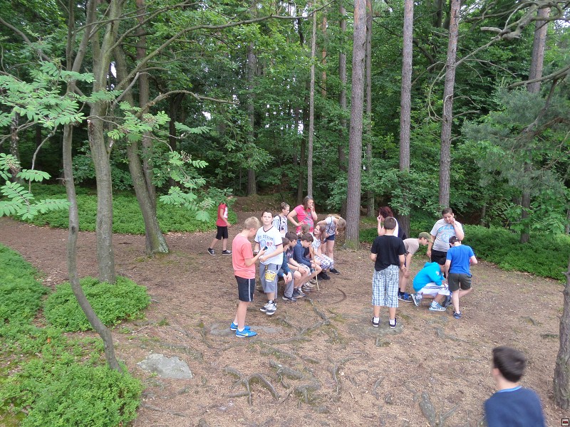 img00055.jpg