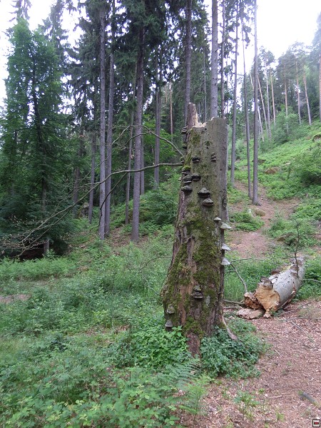 img00058.jpg