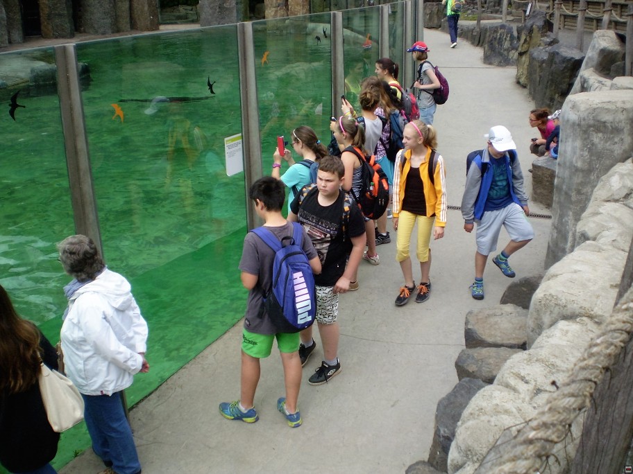 img00014.jpg