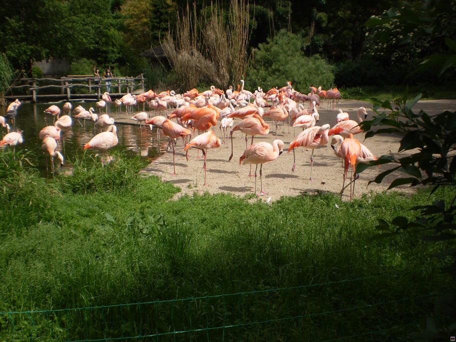 img00019.jpg