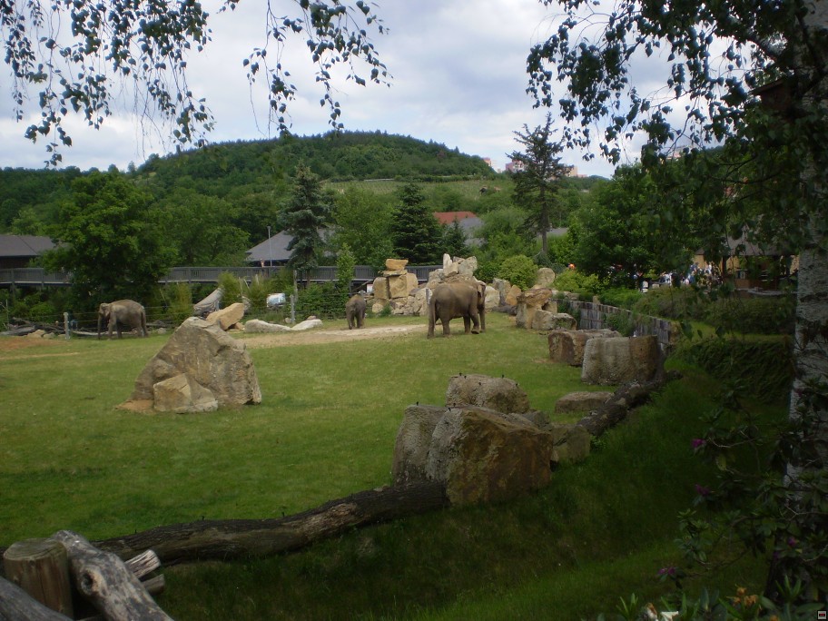 img00054.jpg