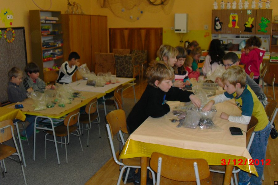 img00007.jpg