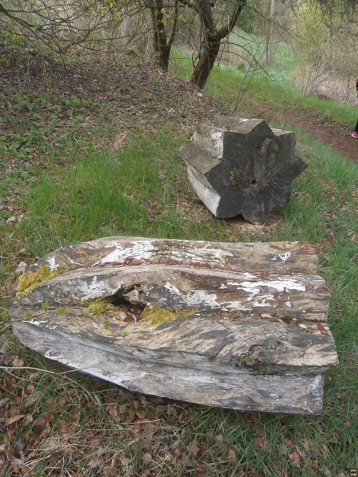 img00006.jpg
