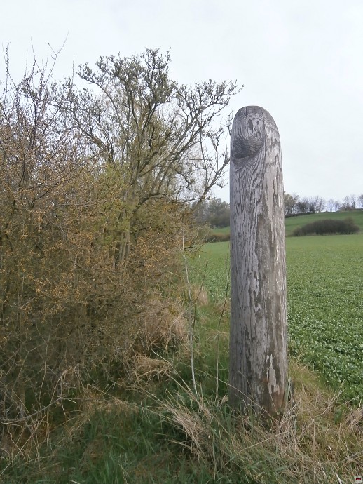 img00007.jpg