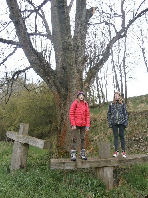 img00017.jpg