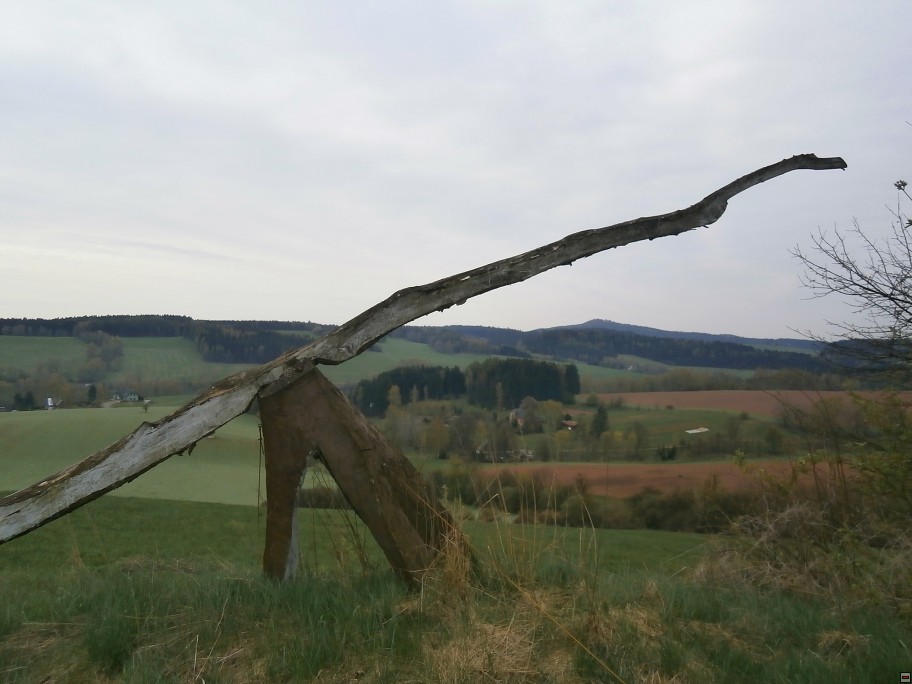 img00019.jpg