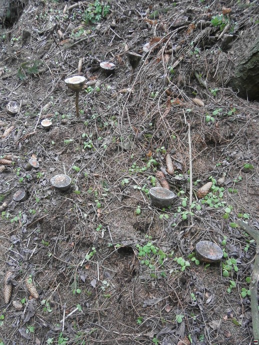 img00022.jpg
