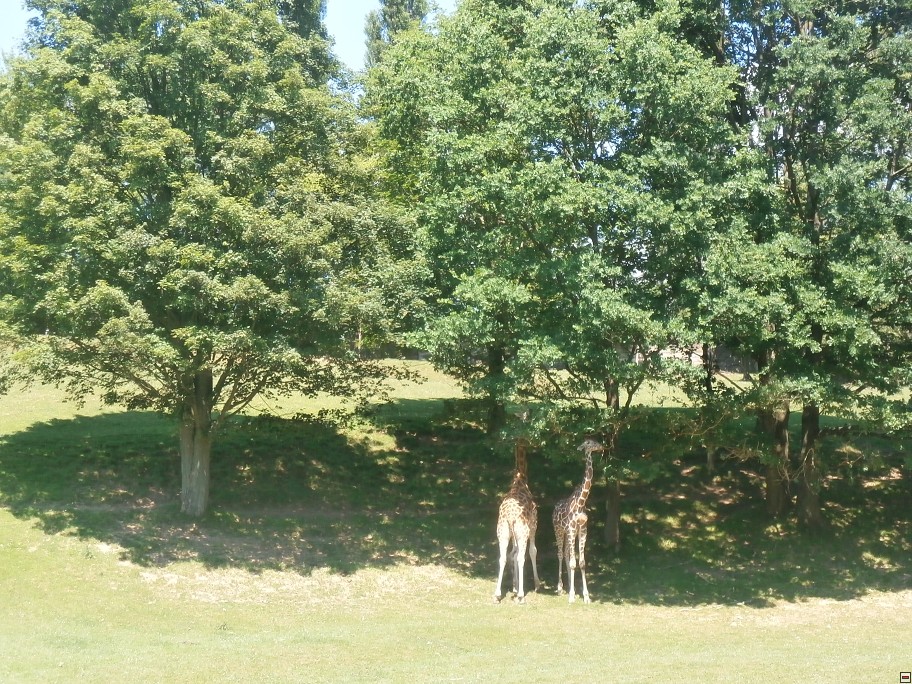img00034.jpg