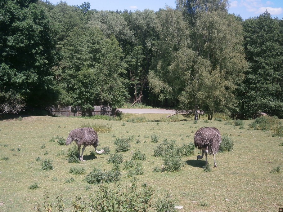 img00038.jpg