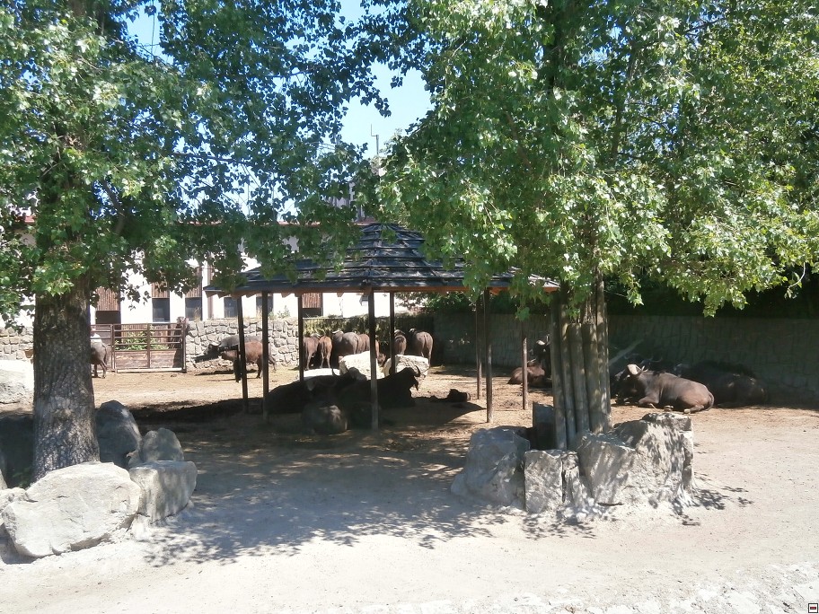img00042.jpg