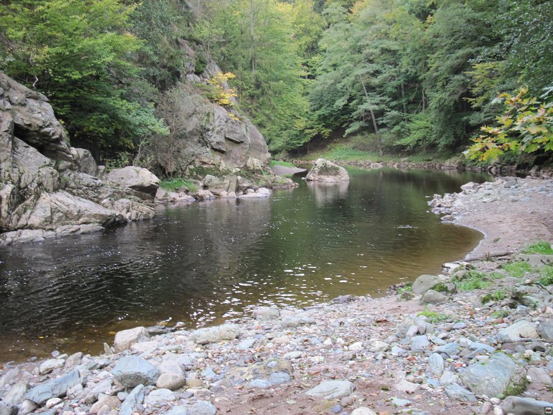 img00011.jpg