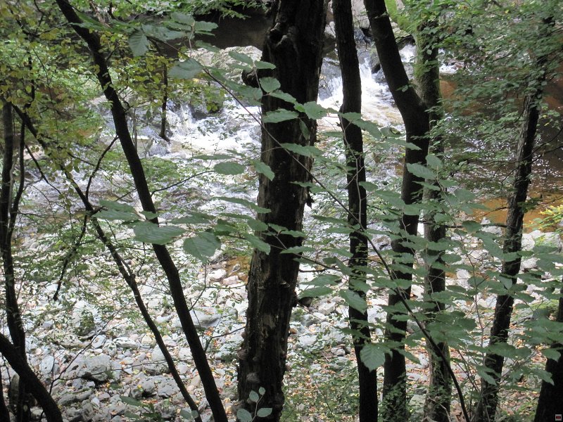 img00017.jpg