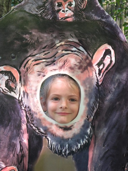 img00002.jpg