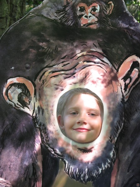 img00005.jpg