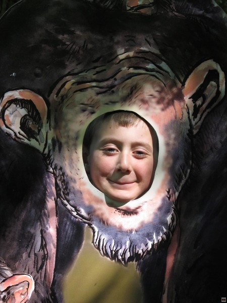 img00006.jpg