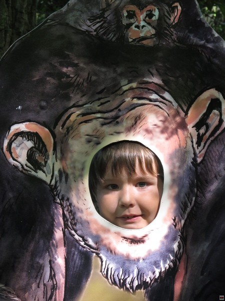 img00007.jpg