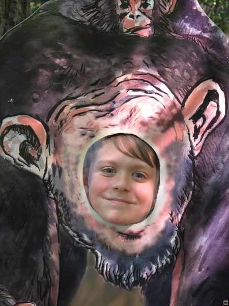 img00009.jpg