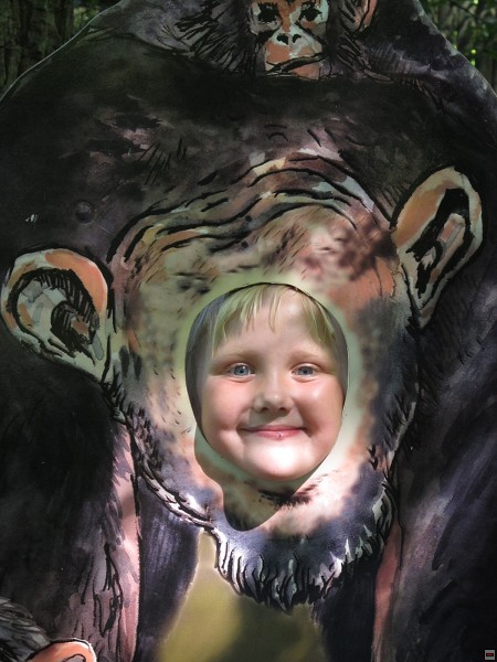 img00010.jpg
