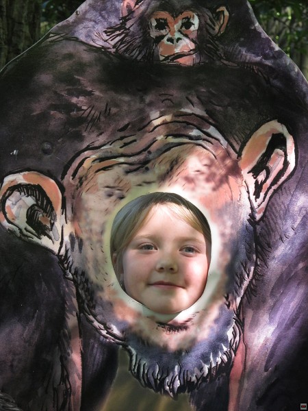 img00011.jpg