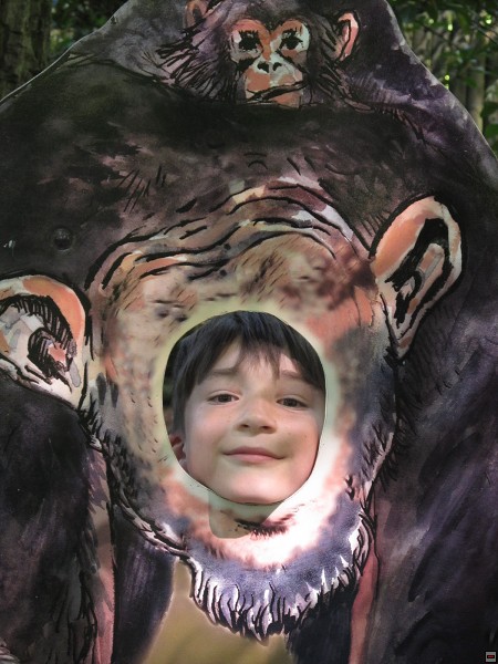 img00012.jpg