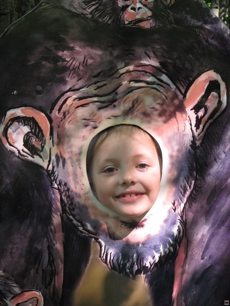 img00013.jpg
