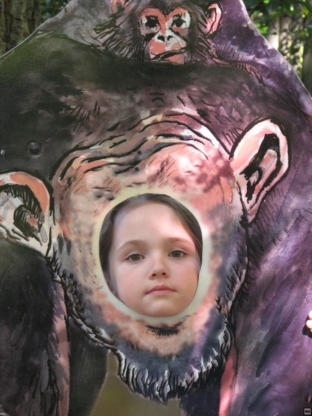 img00014.jpg